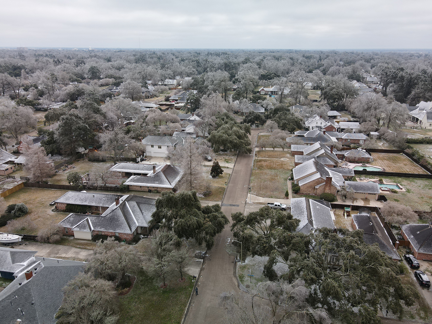 Aerial view of oak trees after a winter storm, February 2021