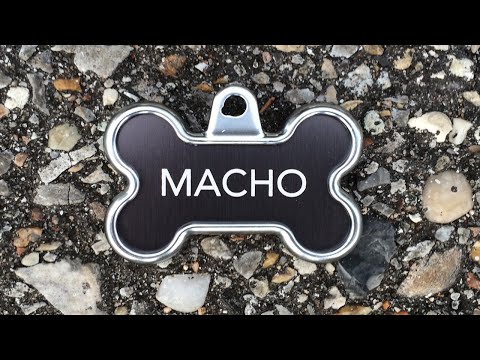 Macho short film still